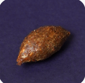 Quibe com queijo (Tamanho Mini)